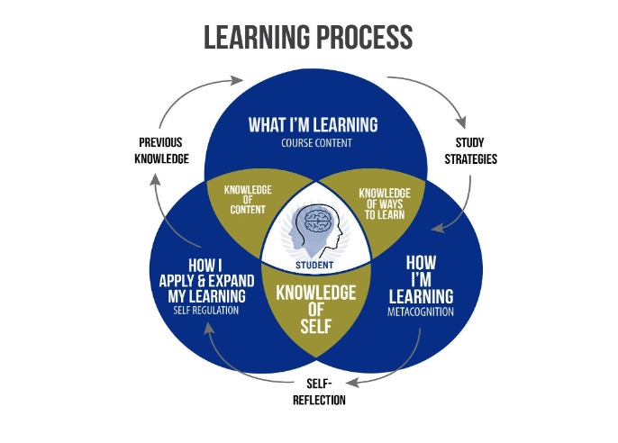 Learning process infographic