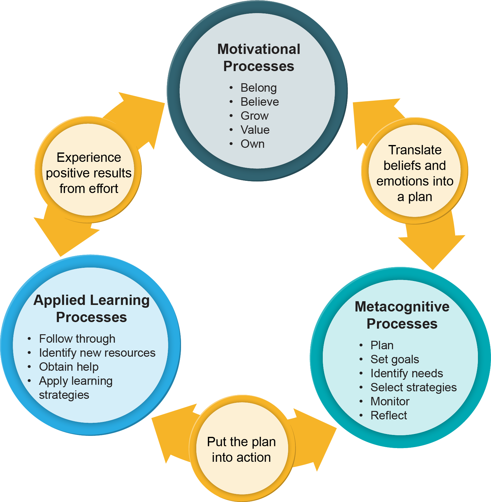 Motivational, Metacognitive, Applied Learning Processes